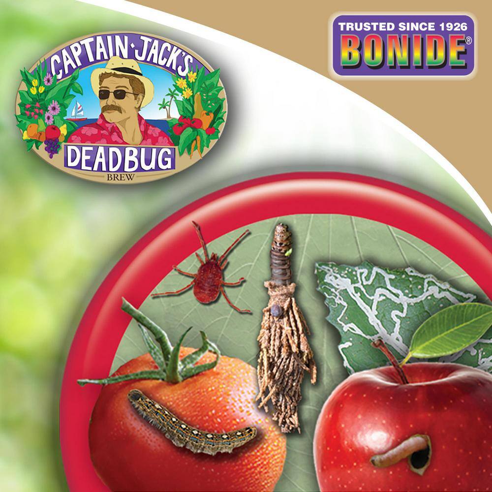 Bonide Captain Jack's Deadbug Brew 32 oz Concentrate Outdoor Insecticide and Mite Killer for Organic Gardening 253