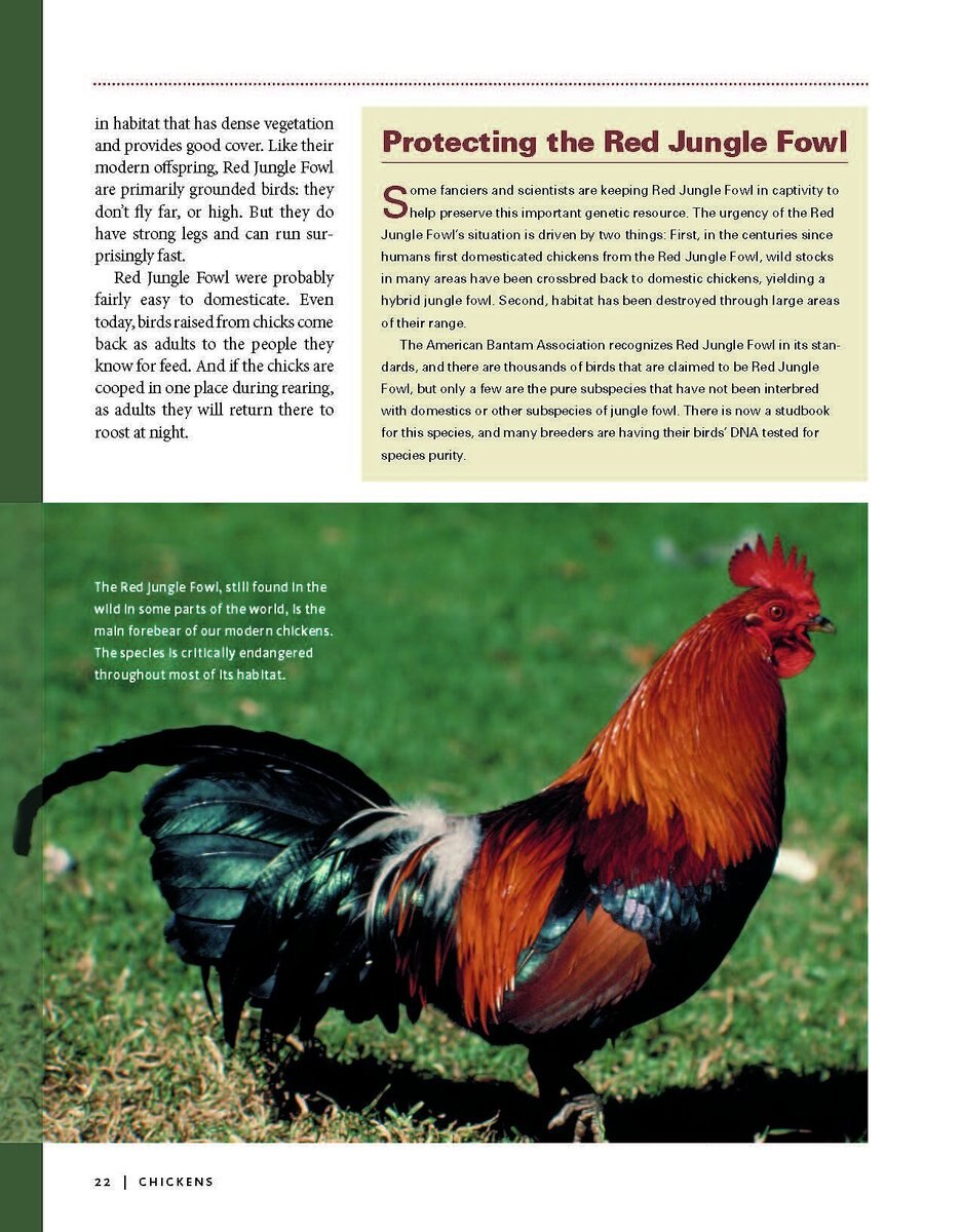 Storey's Illustrated Guide to Poultry Breeds