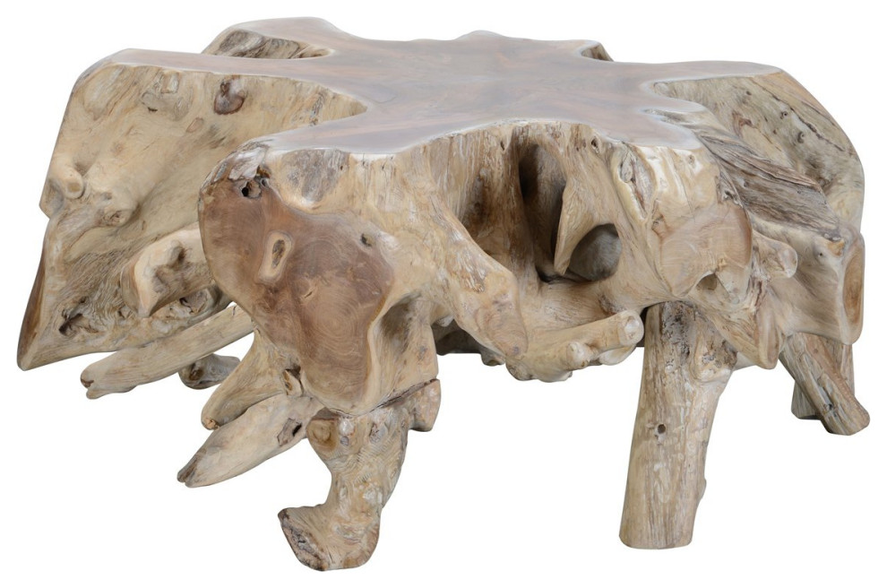 Large Teak Root Coffee Table   Transitional   Coffee Tables   by Terra Nova Designs  Inc.  Houzz