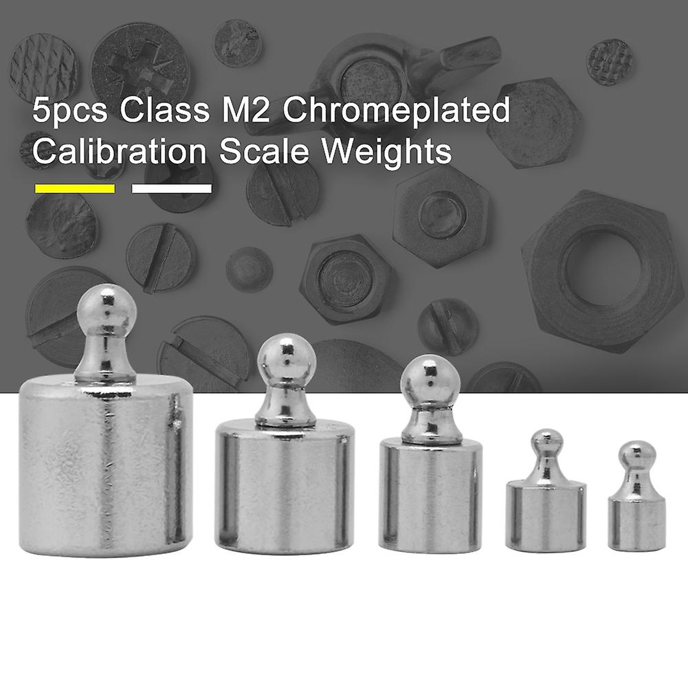 5pcs 1g 2g 5g 10g 20g Grams Precision Calibration Scale Weight Test Set Kit New