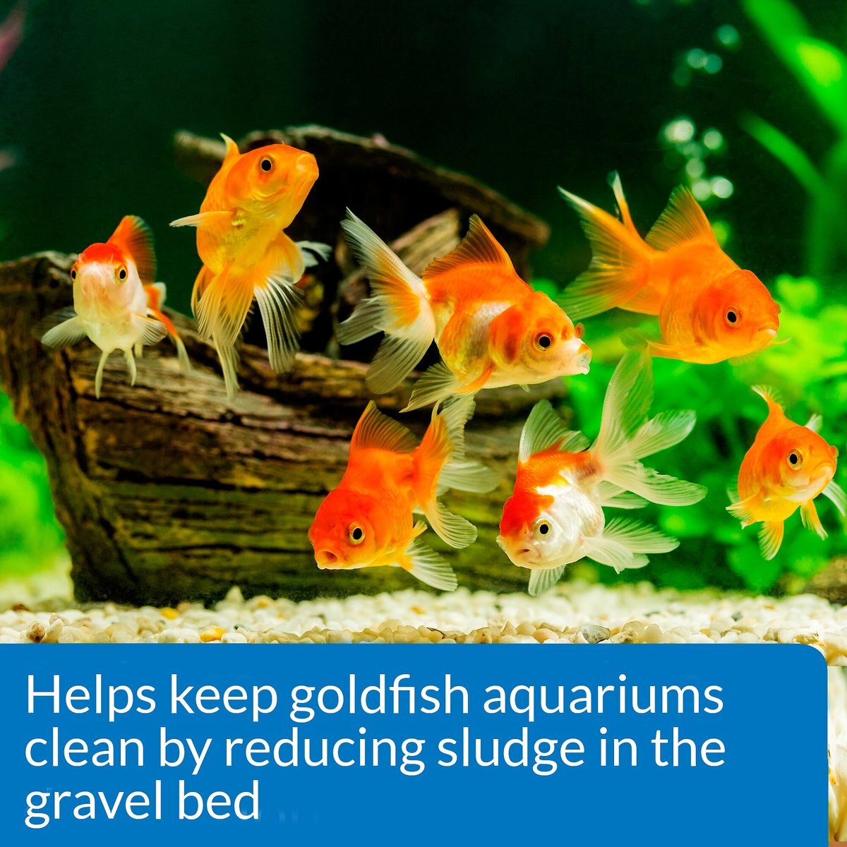 API Goldfish Aquarium Cleaner