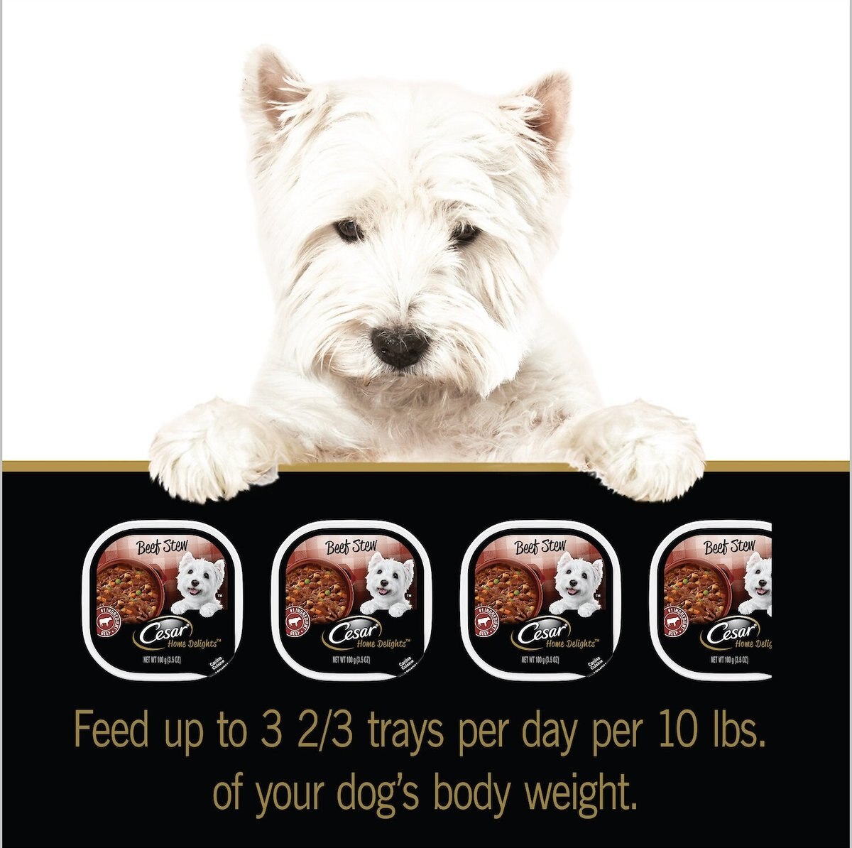 Cesar Home Delights Beef Stew Dog Food Trays