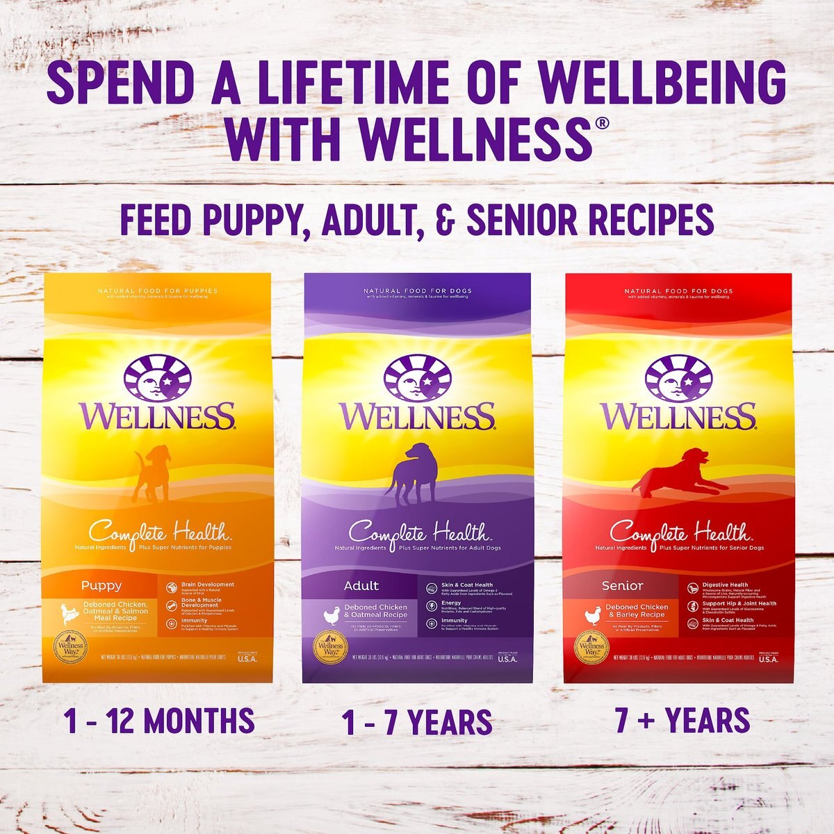 Wellness Complete Health Adult Whitefish and Sweet Potato Recipe Dry Dog Food