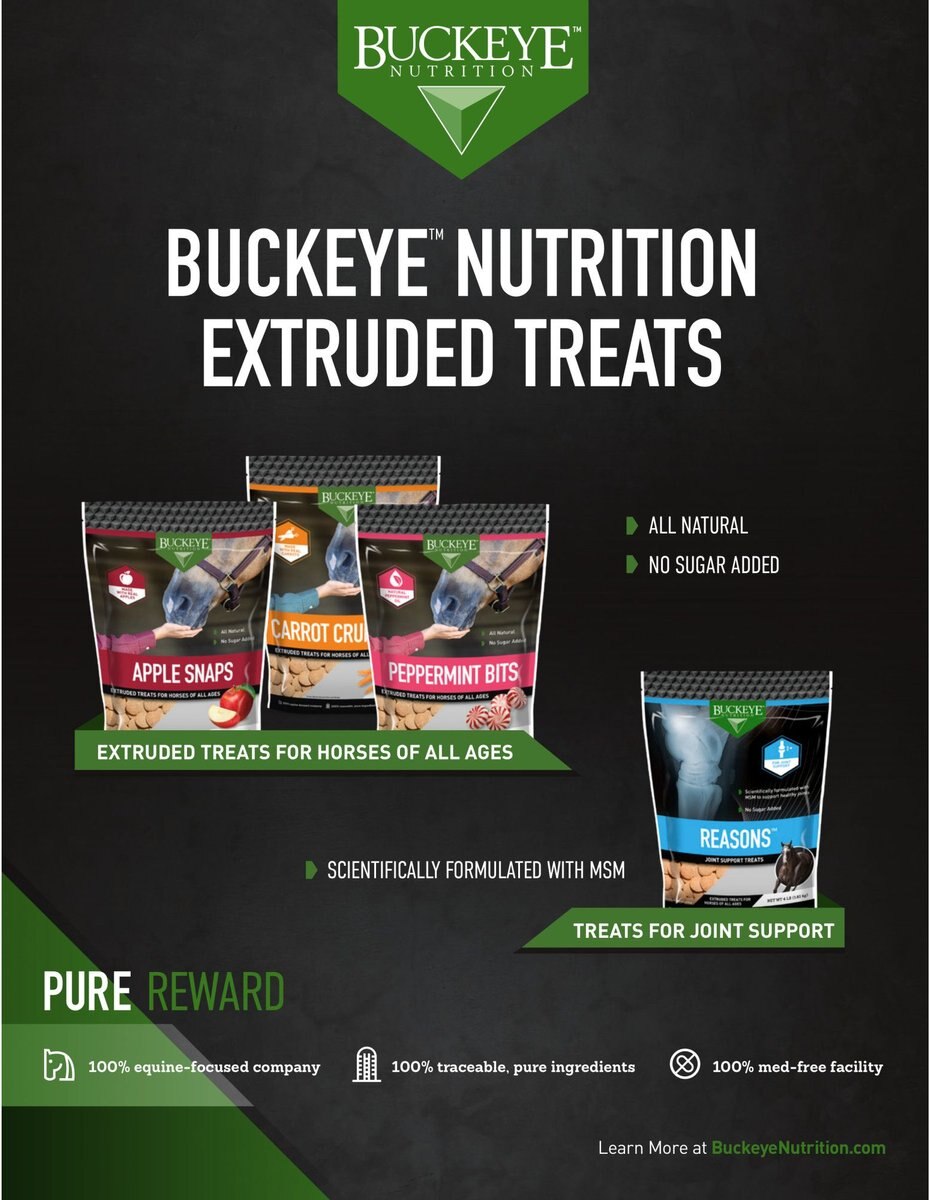 Buckeye Nutrition All-Natural Apple Horse Treats