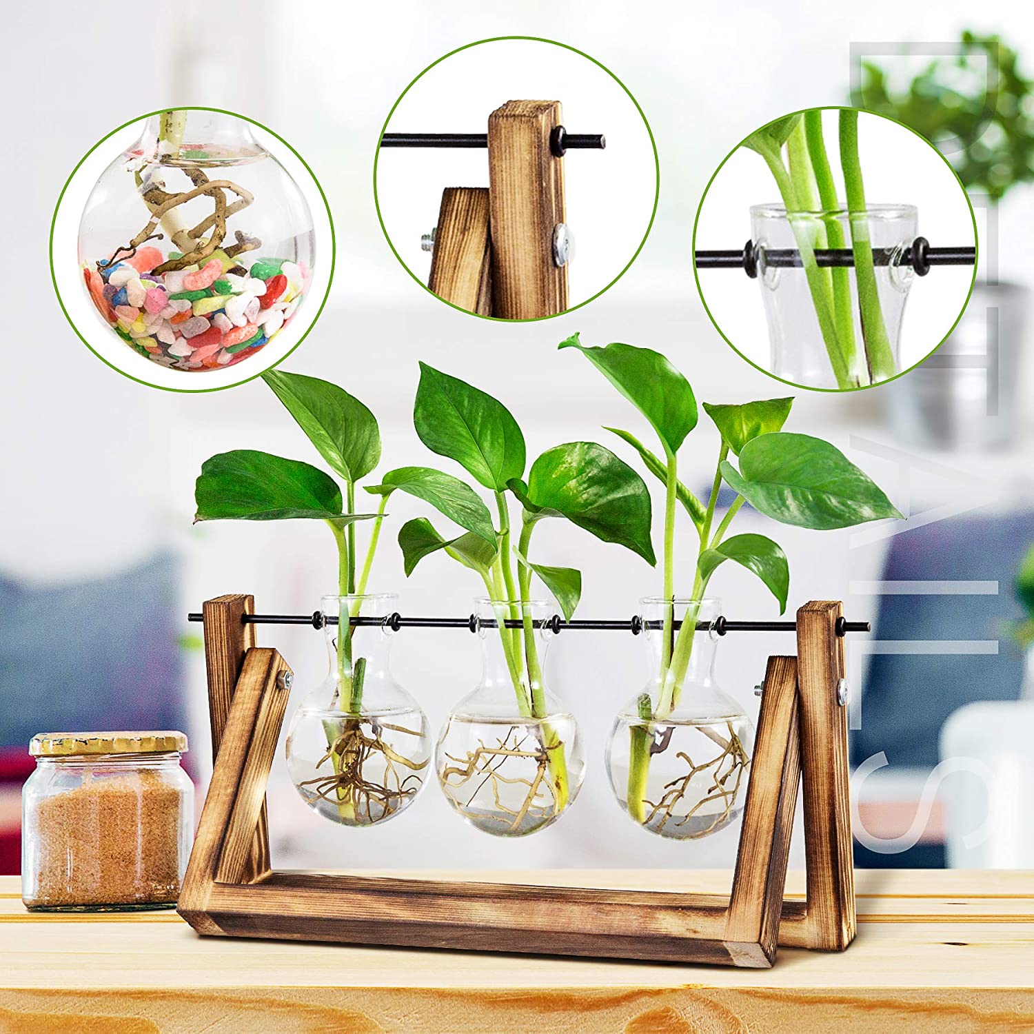 TAZEMAT Plant Terrarium with Wooden Stand Air Planter Bulb Glass Vase Metal Swivel Holder Retro Tabletop for Hydroponics Home Garden Office Decor