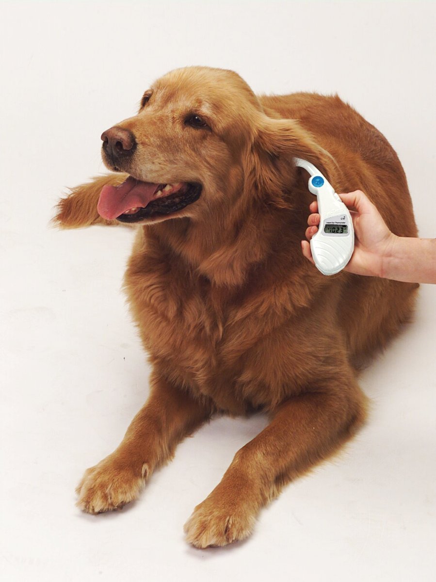 Pet-Temp Instant Pet Ear Thermometer