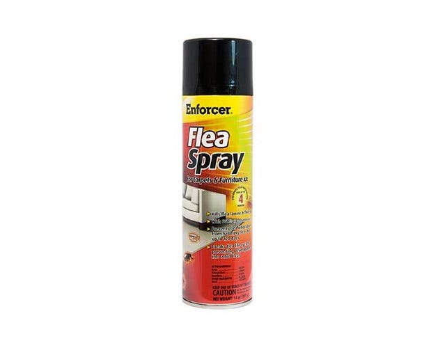 Enforcer Flea Spray for Carpets and Furniture， 14 oz. Can - FS14