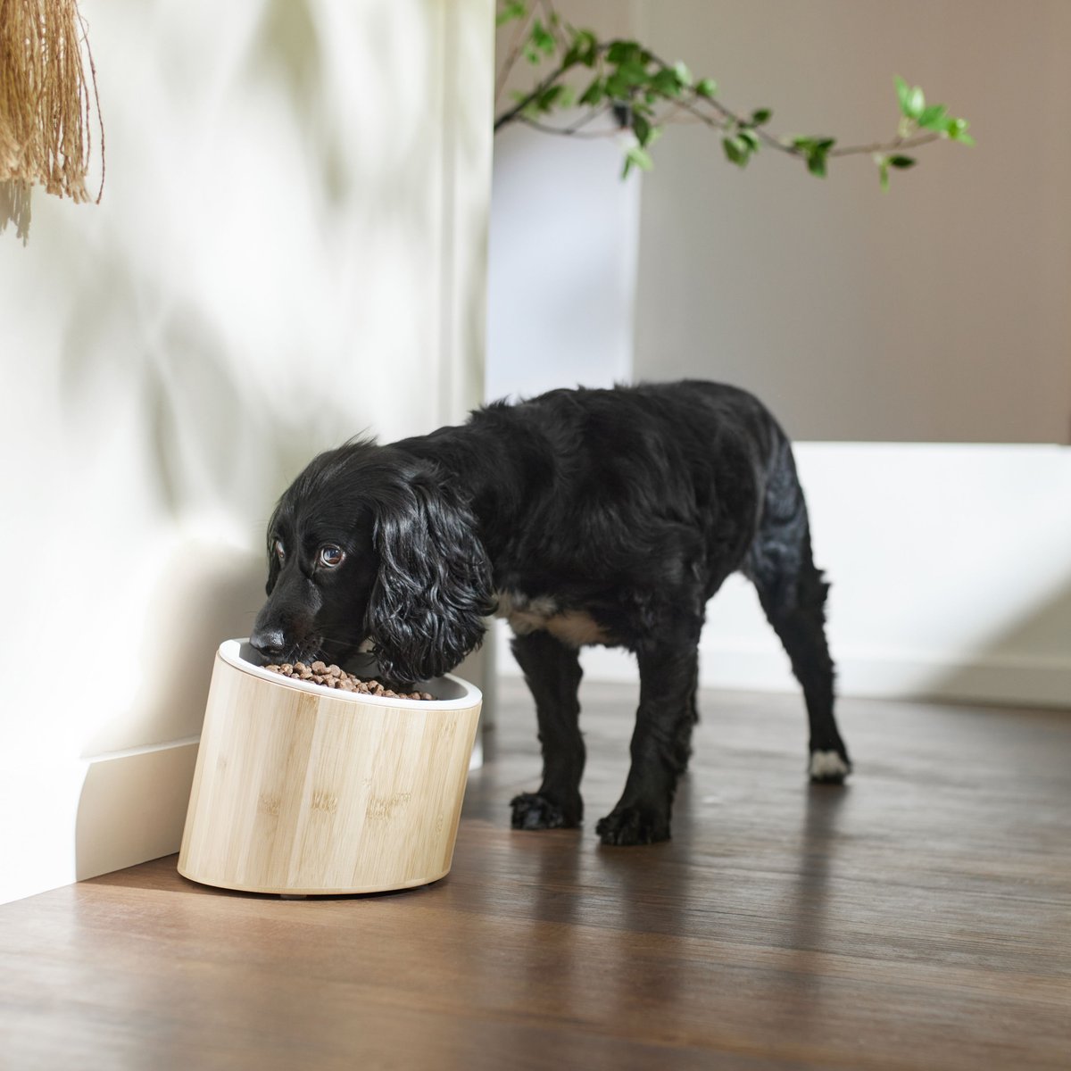 Frisco Elevated Slanted Bamboo Melamine Non-Skid Dog Bowl with Bamboo Stand