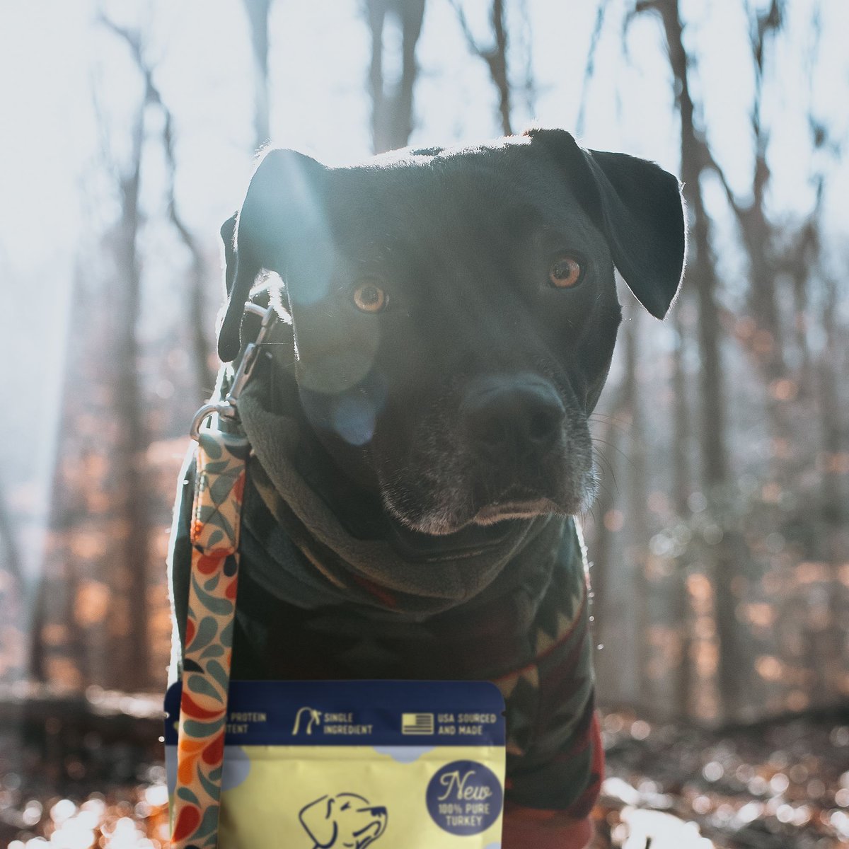 Beg and Barker The Beef and His Bird Variety Pack Chicken， Turkey and Beef Liver Dog Jerky Treats