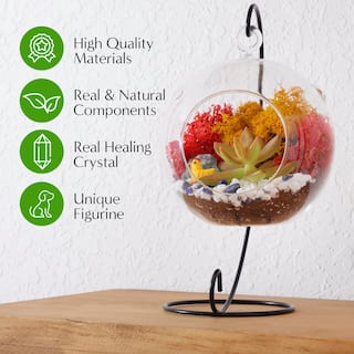 Creations by Nathalie 5 in. Glass Globe Terrarium Kit with Live Succulent Metal Stand Reindeer Moss Crystals Rocks Tools and Figurine CW-OS3V-8UGJ