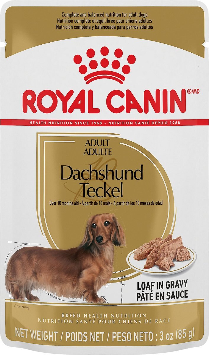 Royal Canin Breed Health Nutrition Dachshund Adult Loaf In Gravy Pouch Dog Food