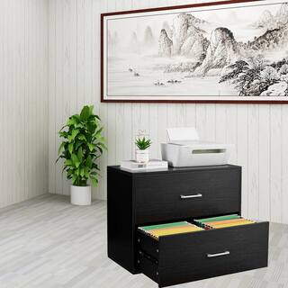 Wateday Black File Cabinet with 2-Drawers YJ-YUKI9595658