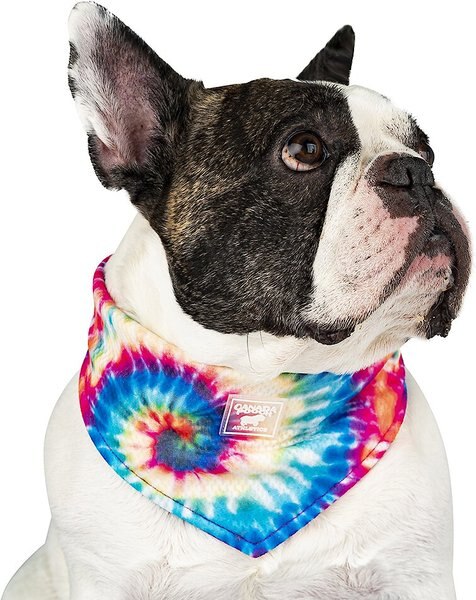 Canada Pooch Tie Dye Cooling Dog Bandana