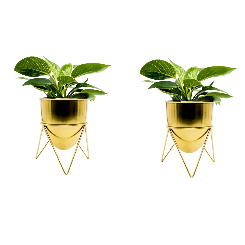 Unique Indoor Decoration Gold Plated Plant Pots  Best Selling Garden Supplies Antique Cheap Planter Buy From Indian Supplier