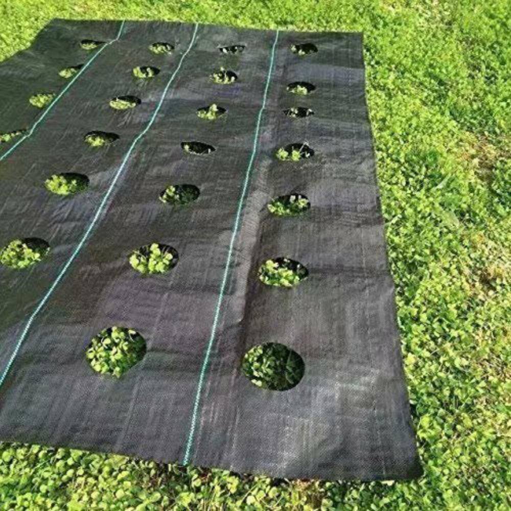 Agfabric 4 ft. x 12 ft. Easy-Plant Weed Block for Raised Bed Outdoor Garden Weed Rugs with Planting Hole Diameter 3 in. G300412H312