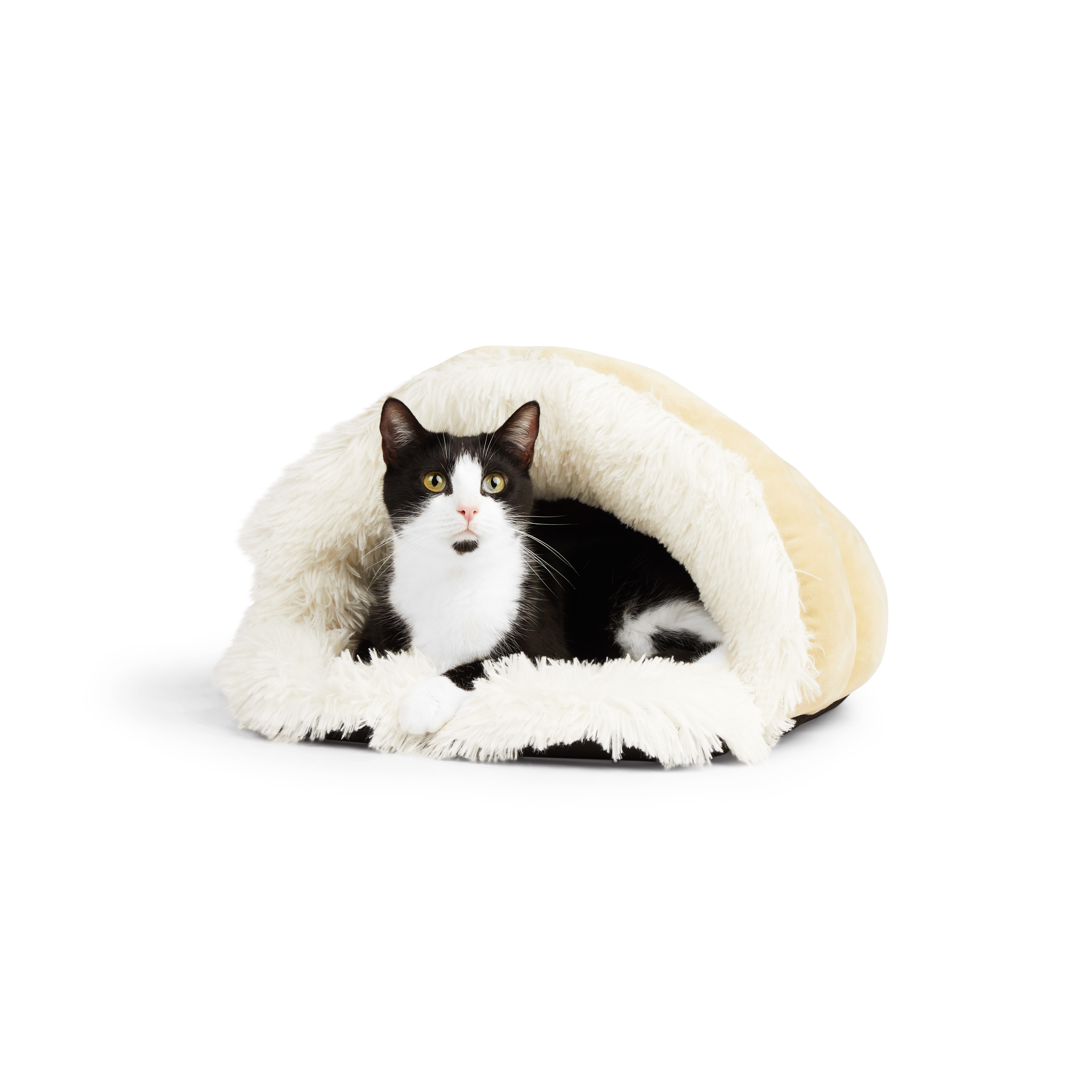 EveryYay Soothing Play Cave Cat Bed， 20