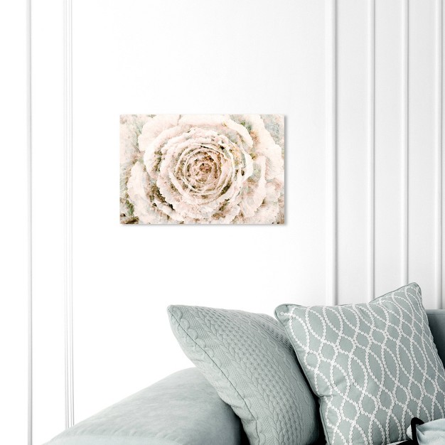 X 15 quot Brown Winter Flower Floral And Botanical Unframed Canvas Wall Art In White Oliver Gal