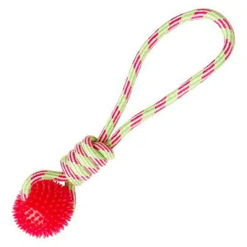 SnugArooz Spike-O-Mite Dog Toy | Tomlinson's Feed