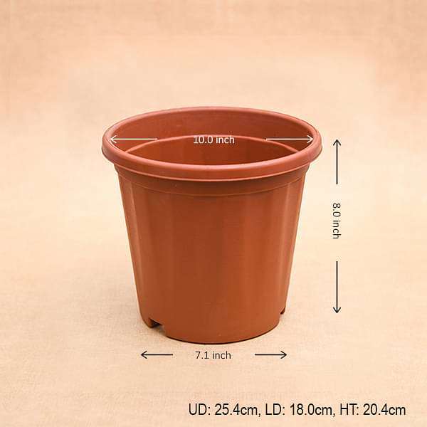 10 inch (25 cm) Grower Round Plastic Pot (Terracotta Color) (set of 6)