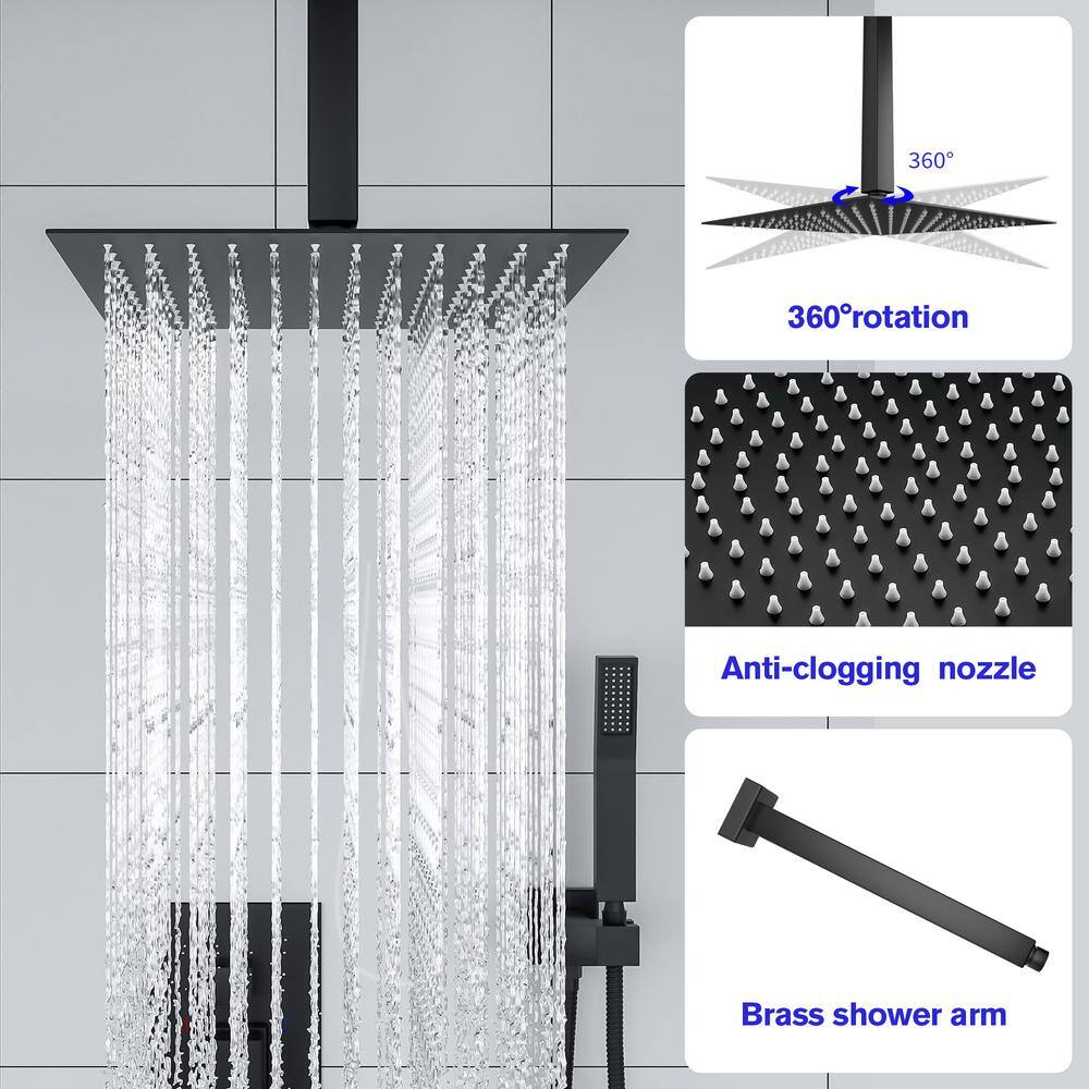 LORDEAR 2-Spray Patterns with 1.8 GPM 16 in. Ceiling Mount Rainfall Dual Shower Heads 360 Degree Swivel in Black H-SLF16016-B