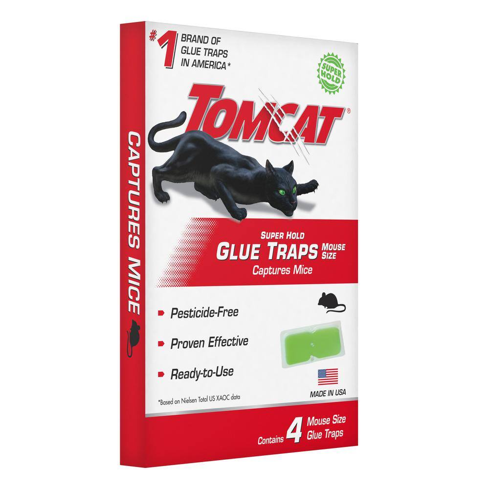 TOMCAT Super Hold Glue Traps Mouse Size for Mice Cockroaches Spiders and Scorpions Ready-To-Use 4 Traps 036271005