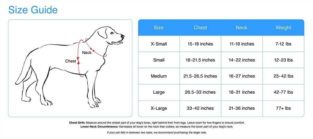 EzyDog Quick Fit Dog Harness