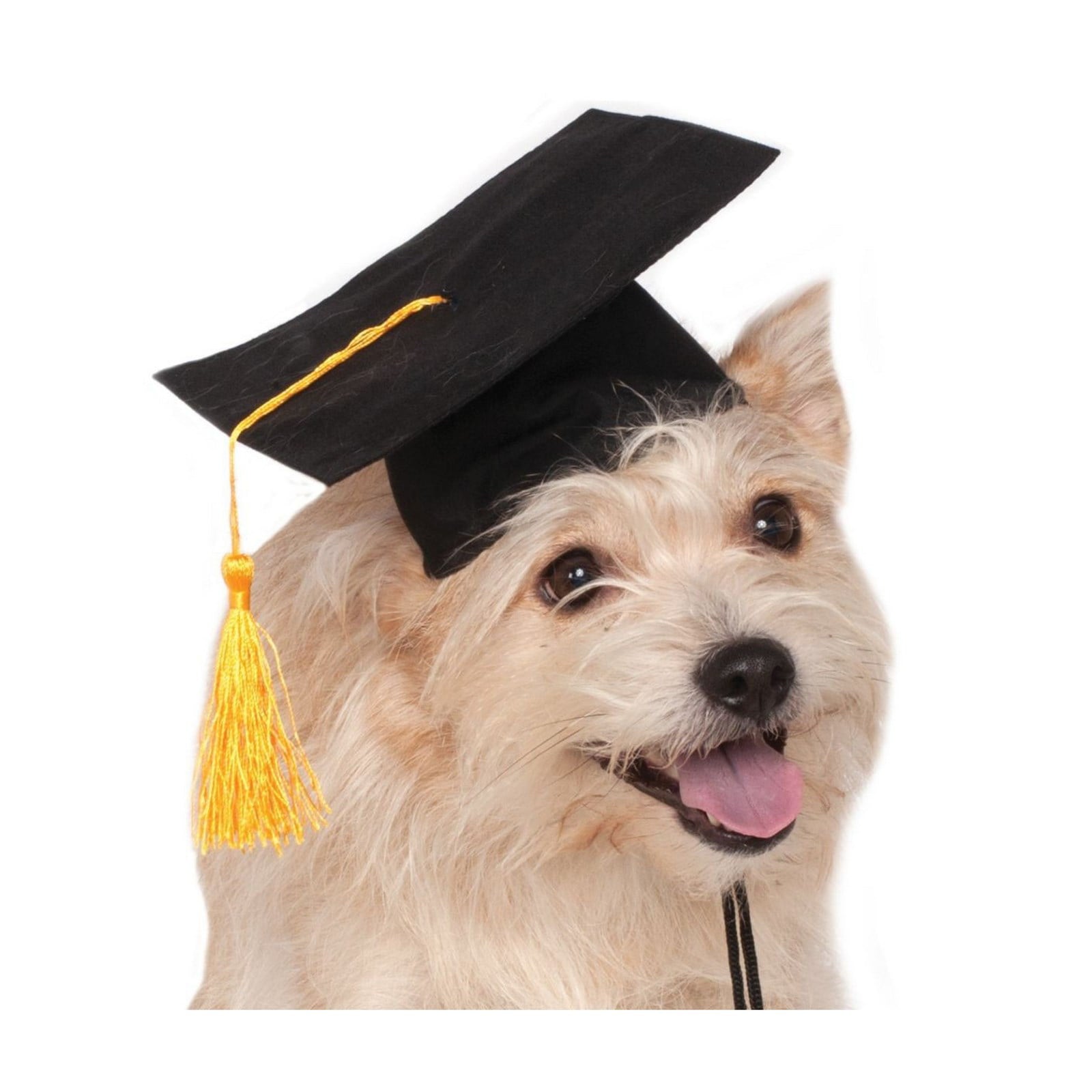 Rubie's Black Graduation Pet Cap