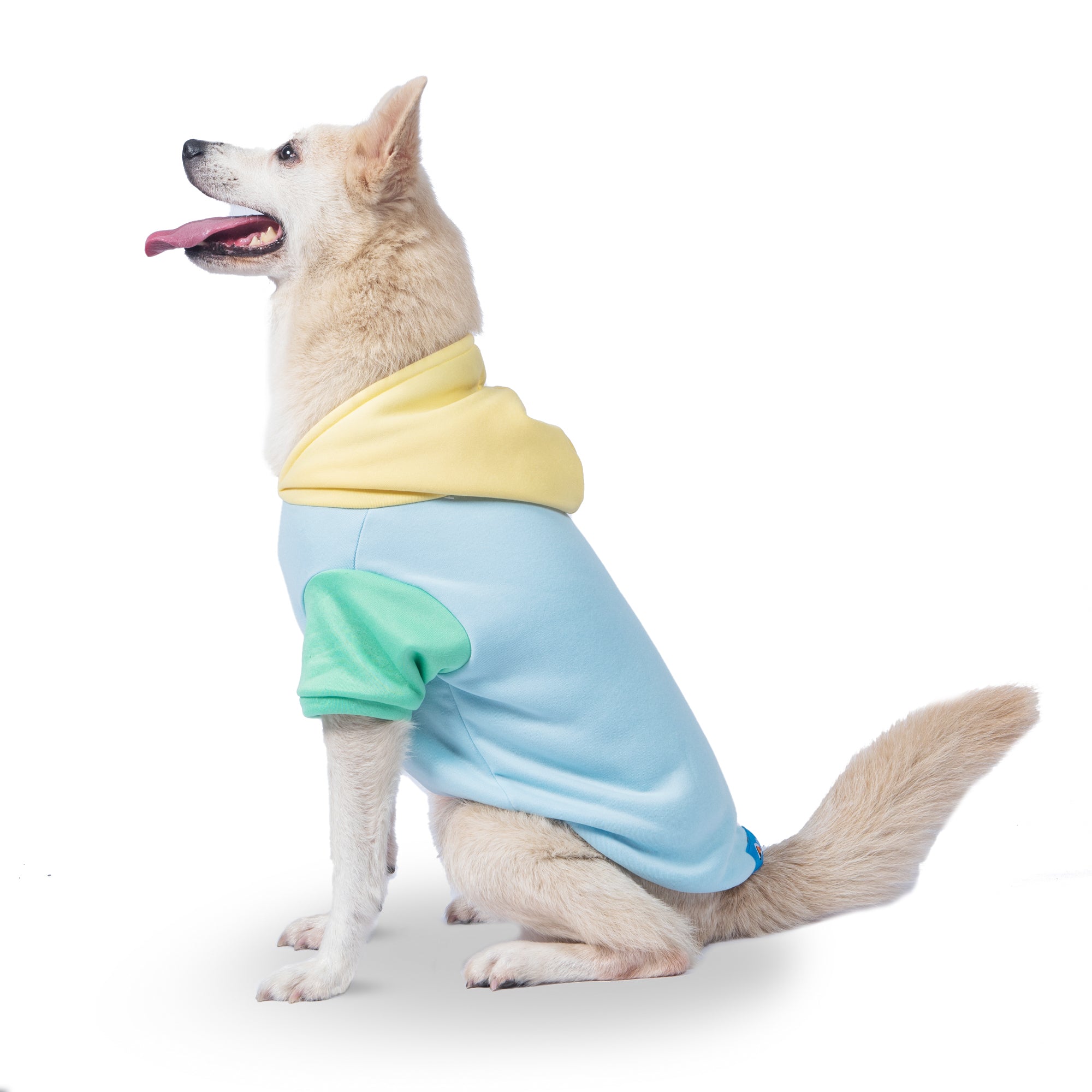 The Dodo Pastel Colorblock Dog Hoodie - Medium