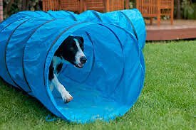 HDP Collapsible Agility Dog Training Tunnel