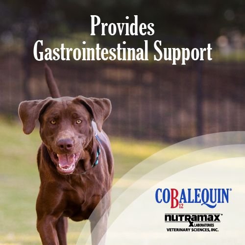 Nutramax Cobalequin Chewable Tablets Supplement for Medium to Large Dogs， 45 count