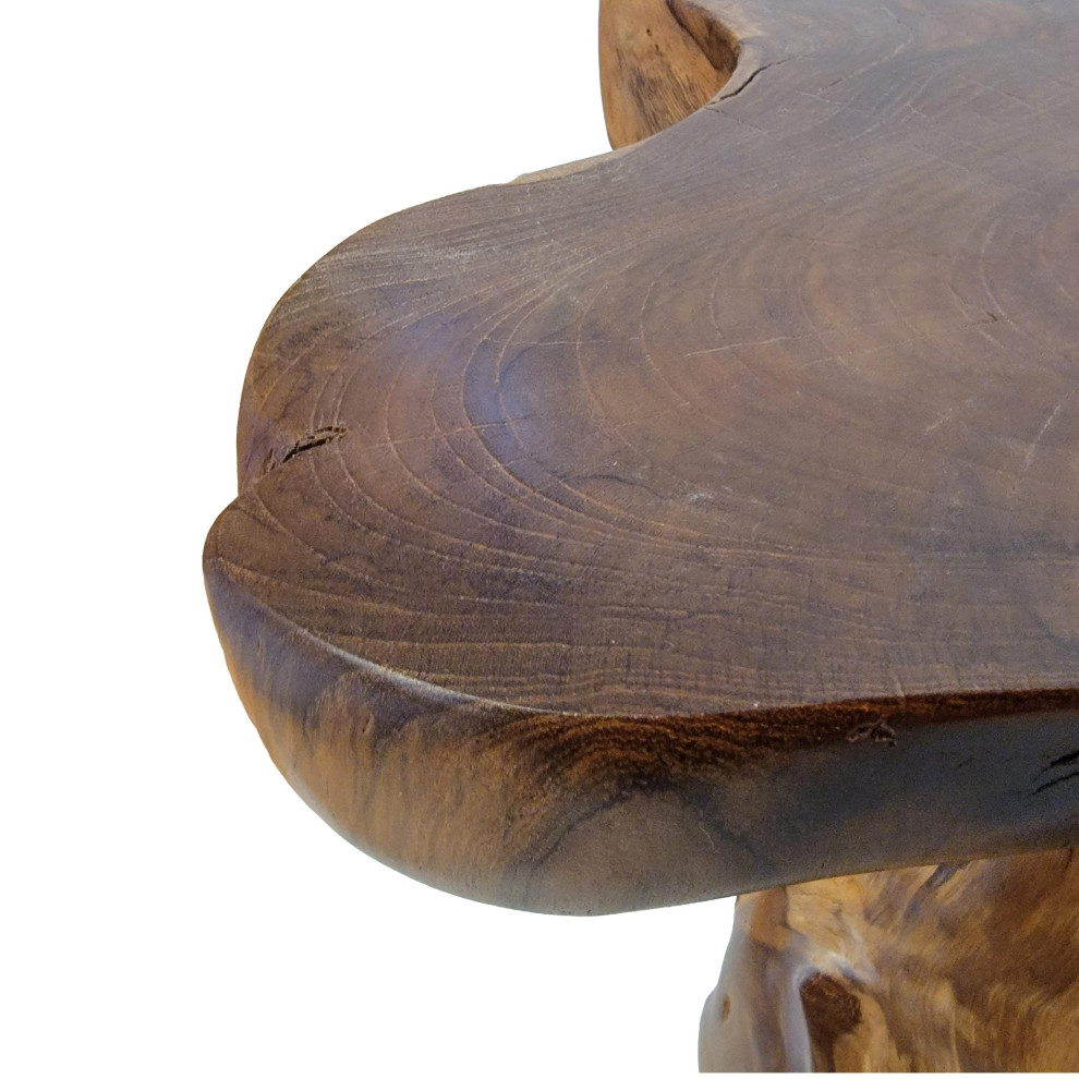 Live Edge Large Wood Accent Table 25 in Free Form Teak Root Natural Tree Trunk   Rustic   Side Tables And End Tables   by My Swanky Home  Houzz