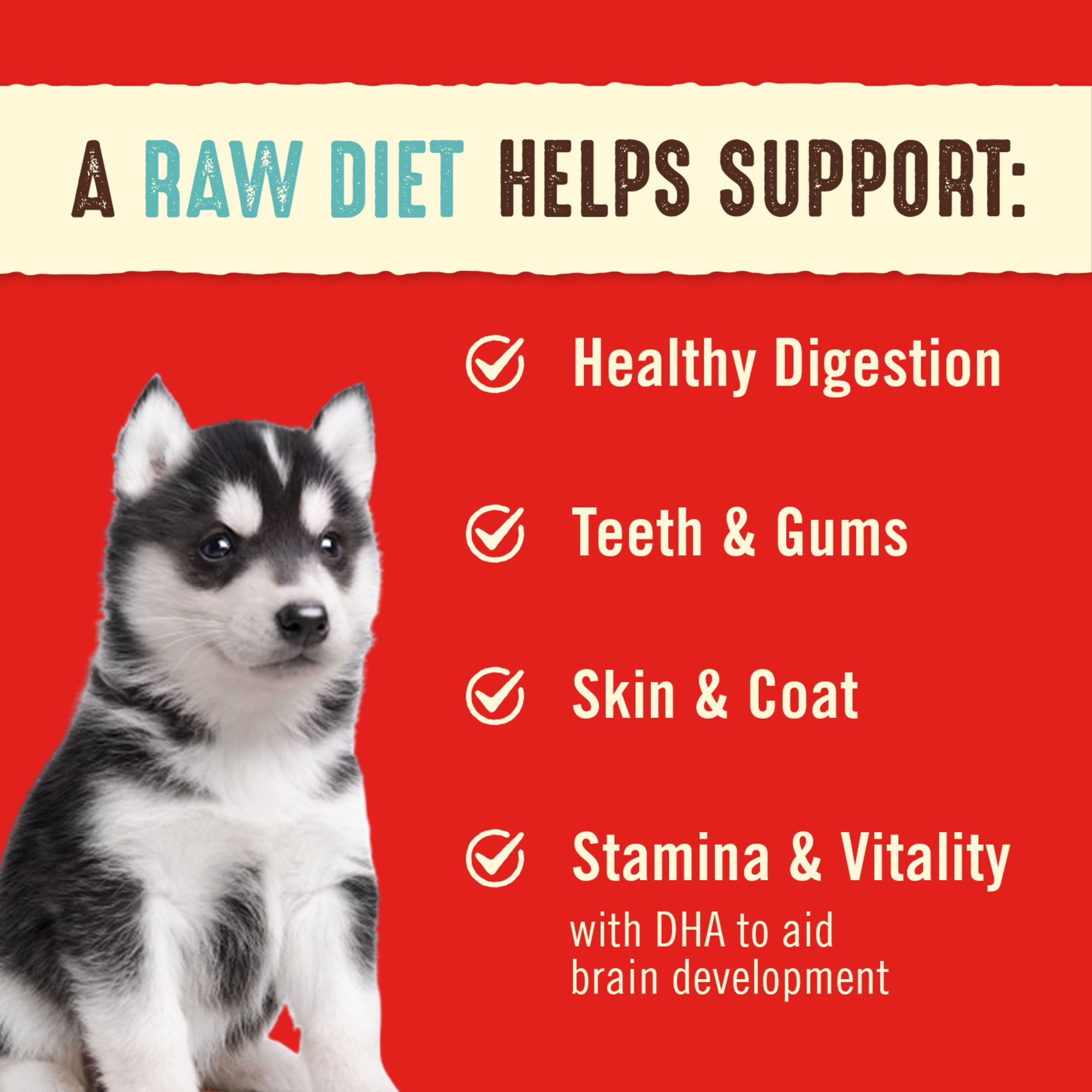 Stella  Chewys Freeze Dried Raw Dinner Patties Protein Rich Perfectly Puppy Beef  Salmon Recipe Dry Dog Food， 14 oz.