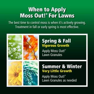 Moss Out! 20 lb. Moss Out! Moss Killer Lawn Granules 100099164