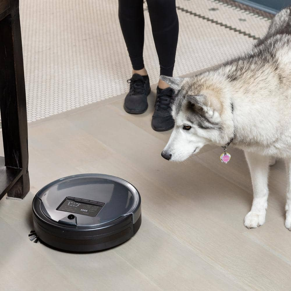 bObsweep PetHair Plus Robotic Vacuum Cleaner and Mop with Docking Station MultiSurface Cleaning in Charcoal