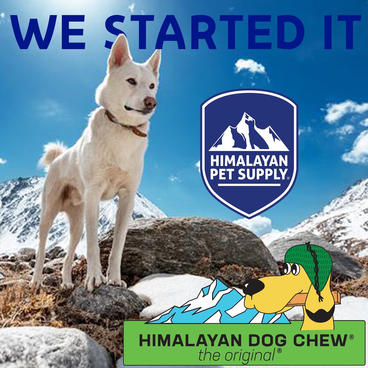 Himalayan Pet Supply Large Natural Cheese Dog Treats