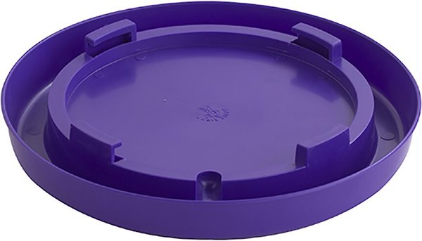 Little Giant Nesting-Style Poultry Waterer Base， 1-gal