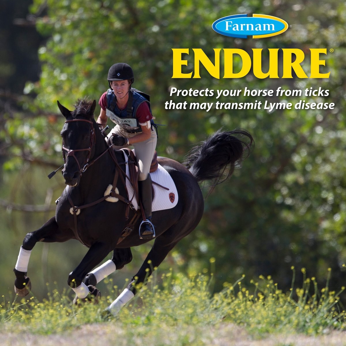 Farnam Endure Sweat Resistant Horse Fly Spray