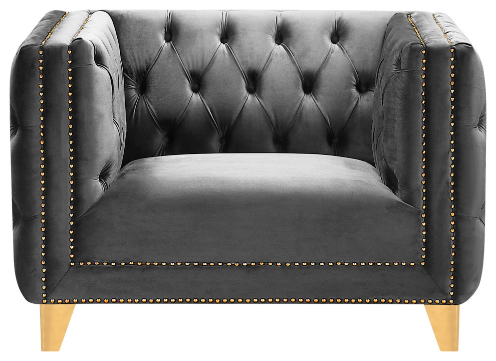 Michelle Fabric Upholstered Chair  Gold Iron Legs   Contemporary   Armchairs And Accent Chairs   by Meridian Furniture  Houzz