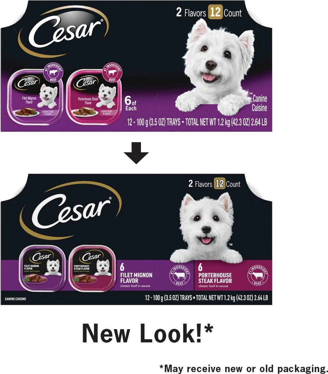 Cesar Classic Loaf in Sauce Filet Mignon and Porterhouse Steak Flavors Variety Pack Dog Food Trays