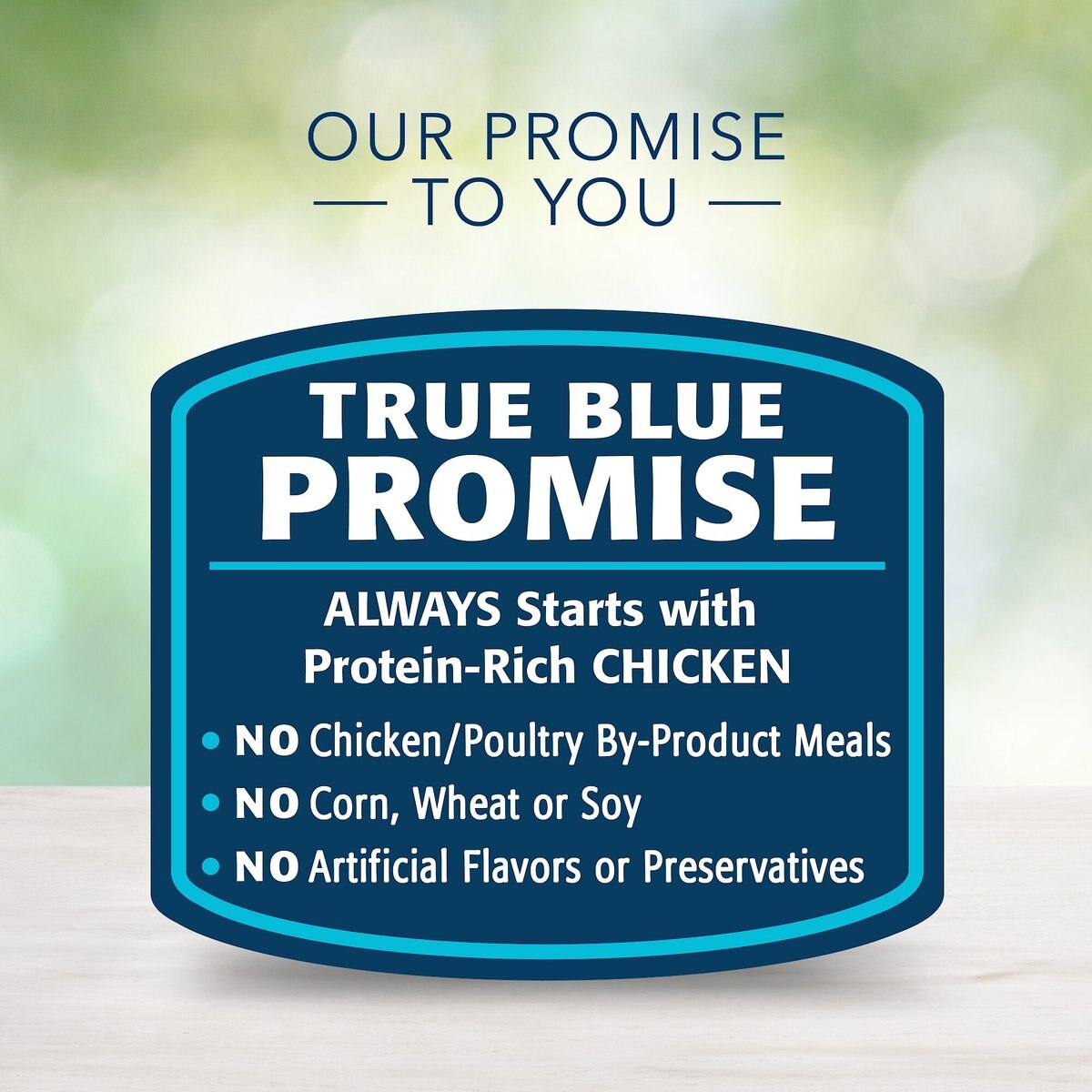 Blue Buffalo Freedom Indoor Flaked Chicken Recipe Grain-Free Canned Cat Food