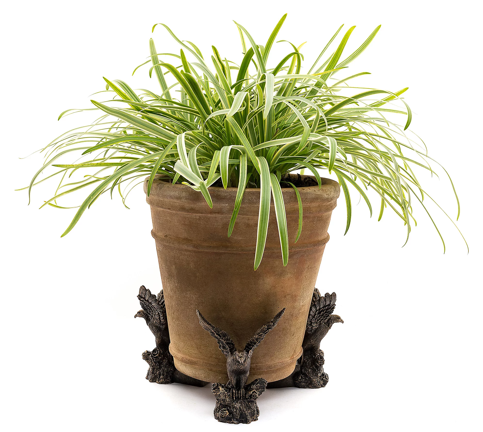 Jardinopia Potty Feet American Bald Eagle S 3Planter Feet