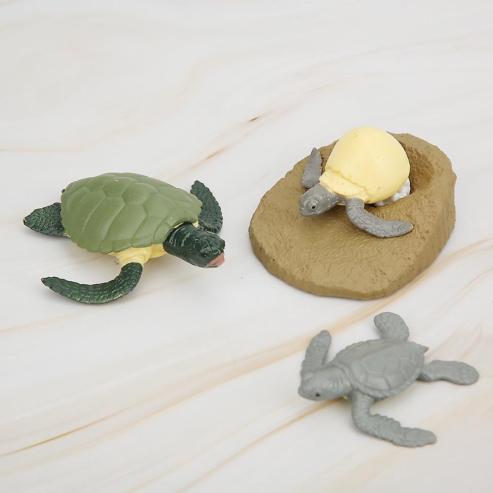 Turtles Growth Cycle Model Children Miniature Simulation Animal Early Education Statue Toy