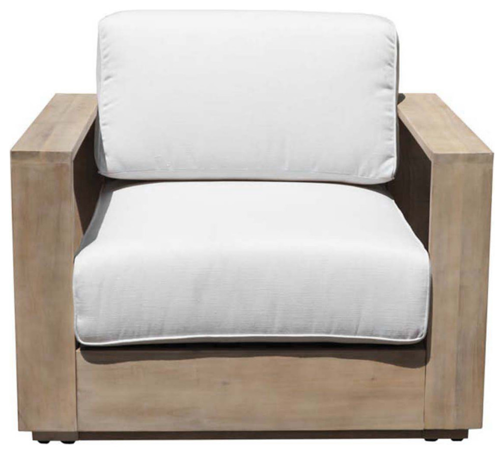 Harbor Sofa Chair  Beige   Transitional   Armchairs And Accent Chairs   by Pangea Home  Houzz