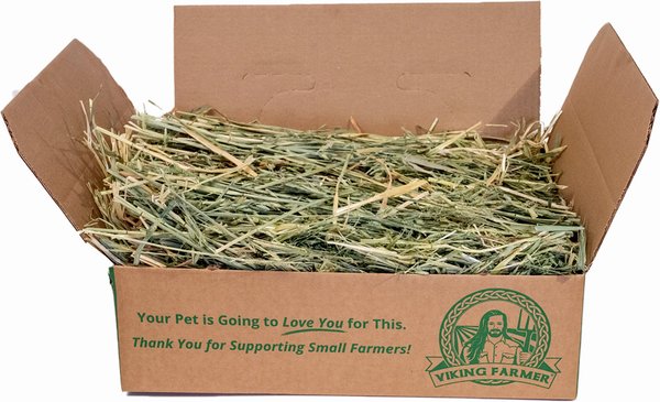 Viking Farmer Oat Hay for Rabbits and Small Pets， 5-lb