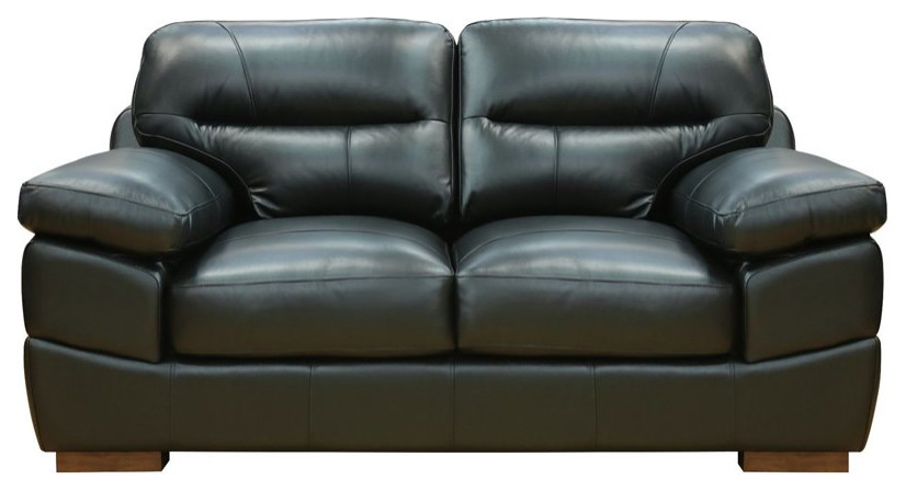 Sunset Trading Jayson 73 quotModern Top Grain Leather Loveseat in Black   Contemporary   Loveseats   by Homesquare  Houzz