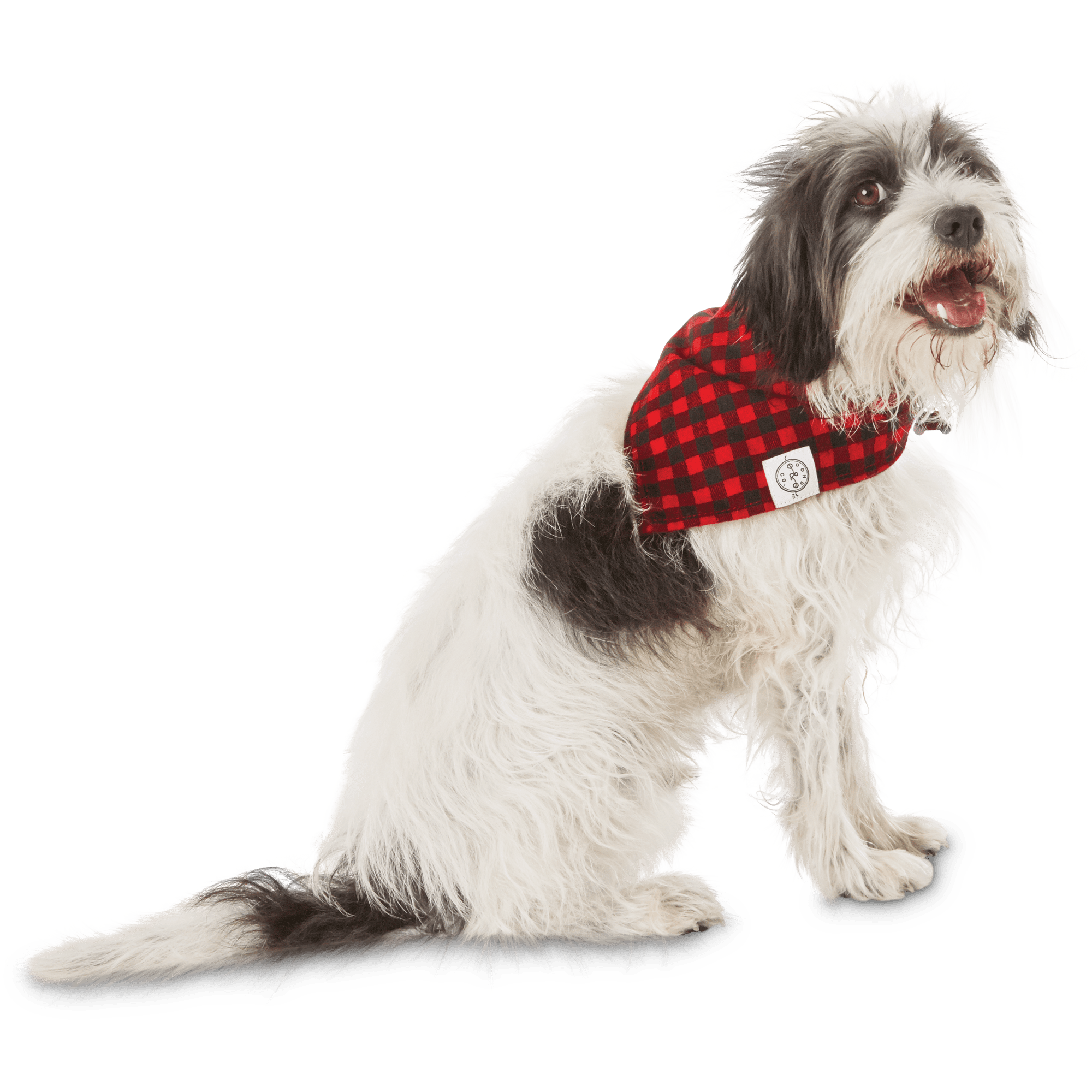 Bond  Co. Buffalo Checkered Dog Bandana，  For Neck Sizes 12-15， Small