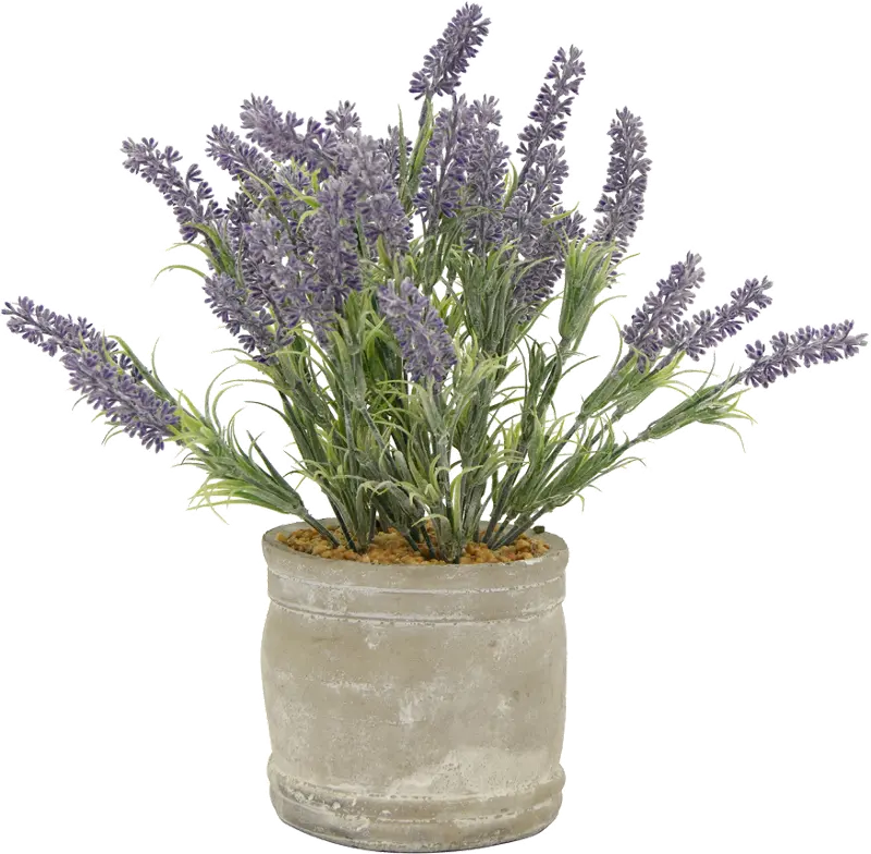 16 Inch Faux Lavender Arrangement in Round Cement Pot