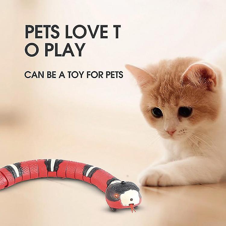 Smart Sensing Interactive Cat Toys Automatic Eletronic Snake Cat Teasering Play Usb Rechargeable Kitten Toys