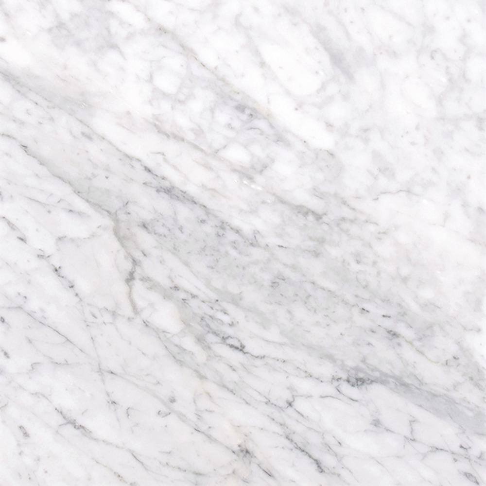 MSI Carrara White 12 in. x 12 in. Polished Marble Stone Look Floor and Wall Tile (10 sq. ft.Case) TCARRWHT1212