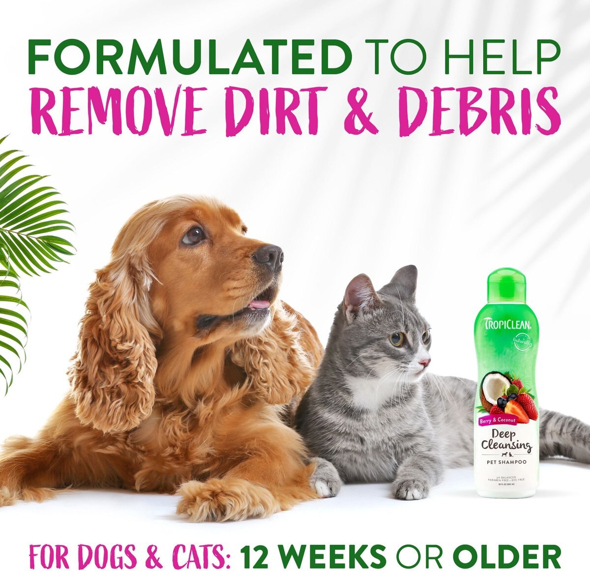 TropiClean Deep Cleaning Berry and Coconut Dog and Cat Shampoo